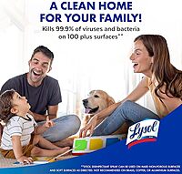 Lysol Disinfectant Spray Lysol Disinfectant Spray
