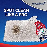 Resolve Pet Stain Remover Spray - 22oz