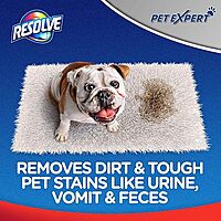 Resolve Pet Stain Remover Spray - 22oz